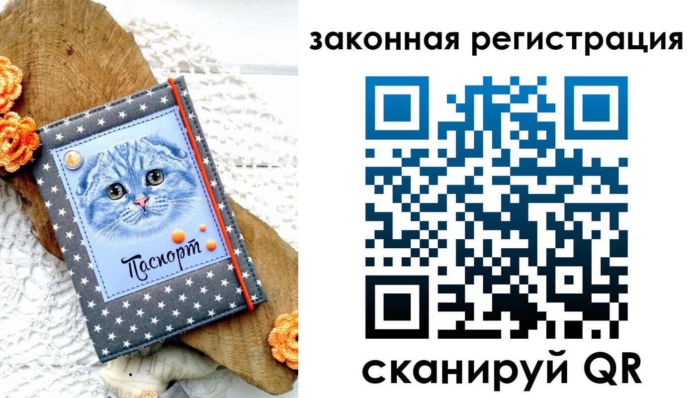 регистрация в Новочеркасске